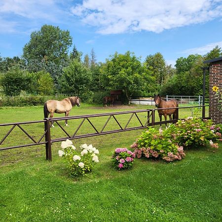 Poggenhagen Urlaub Mitten In Der Natur Neustadt am Rübenberge Buitenkant foto