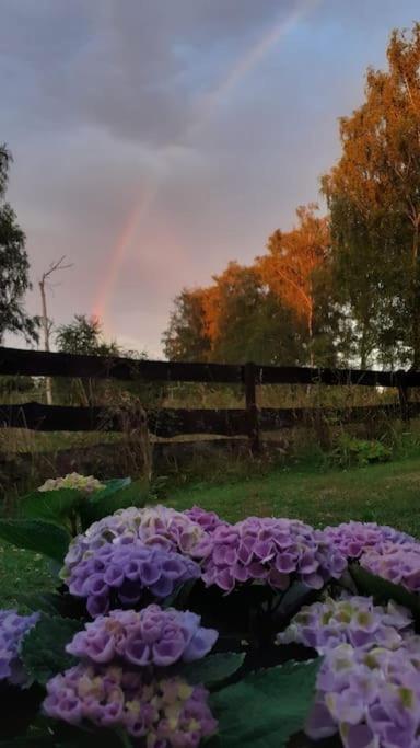 Poggenhagen Urlaub Mitten In Der Natur Neustadt am Rübenberge Buitenkant foto
