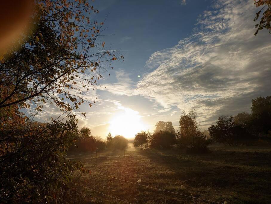Poggenhagen Urlaub Mitten In Der Natur Neustadt am Rübenberge Buitenkant foto